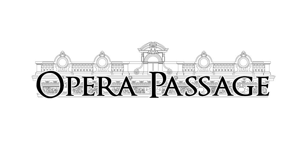 Апарт-готель «Opera Passage»